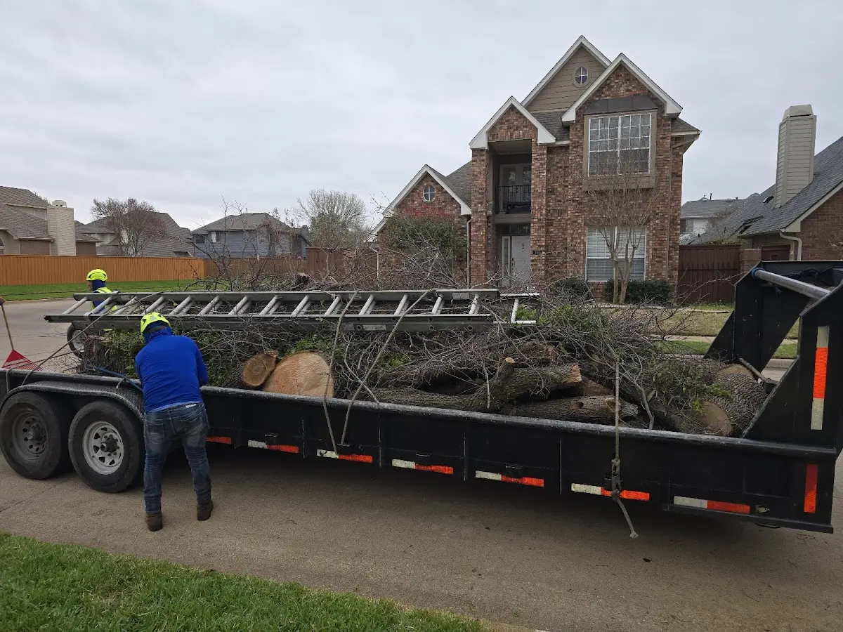 Expert Tree Fertilization with proper safety equipment in Myersville